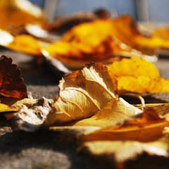 注册码商城的ddos流量攻击购买